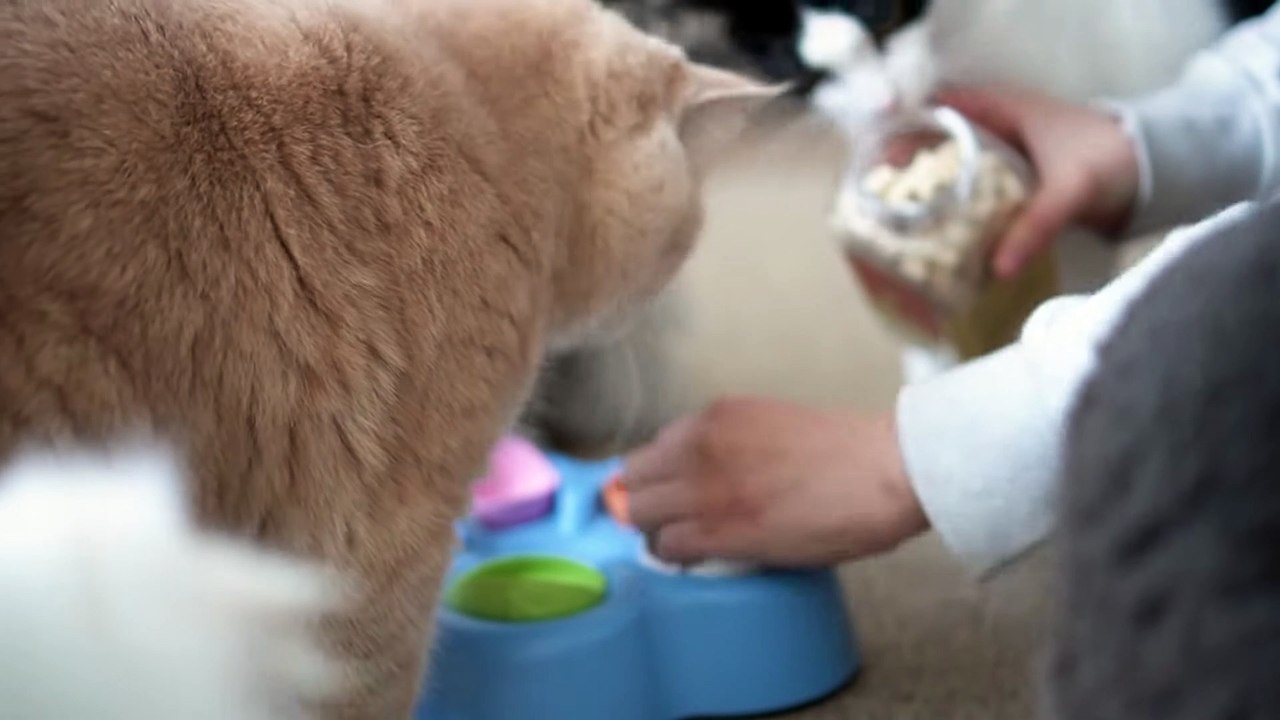 ☁️ Semi Automatic Popcorn Machine (ENG SUB)
