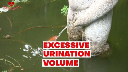 Polyuria - The Reason You're Spending More Time in the Bathroom