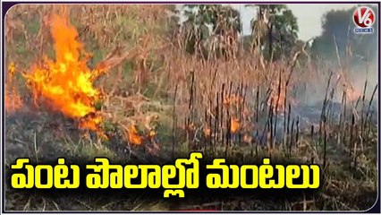Sorghum Crop Catch Fire Due To Short Circuit At Mulugu | V6 News