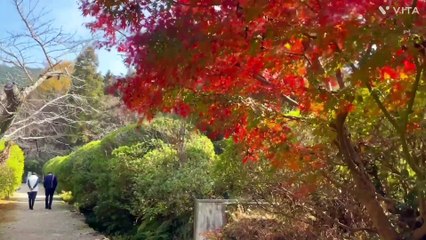 Nara chogakuji temple