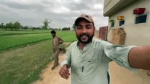 Gabbar Ki Parosion Ke Ghar Jakar Badmashi