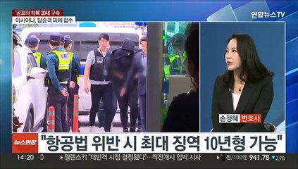 [이슈+] '공포의 착륙' 30대 구속…국토부, 대응 적절성 조사