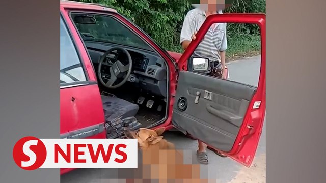 61-year-old man nabbed for allegedly dragging dog with car