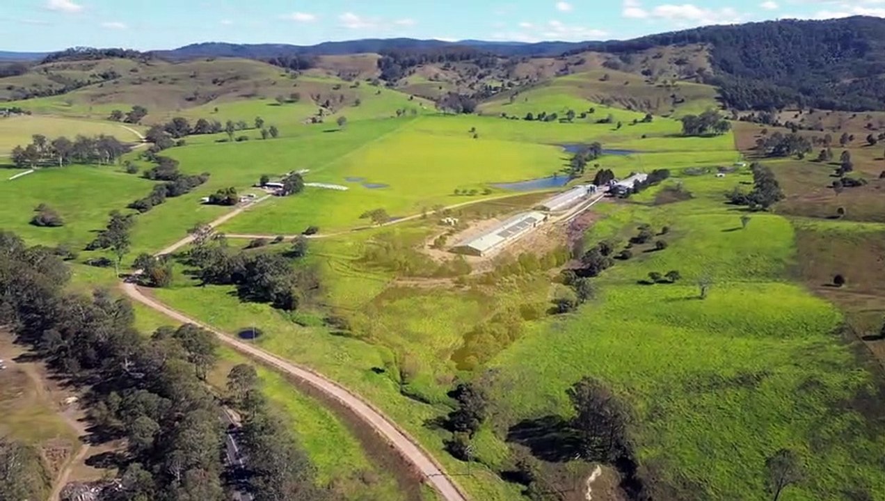 Mariposa, Wards River, NSW May 30, 2023 video Dailymotion