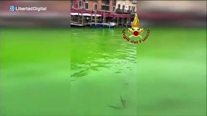 Las aguas del Gran Canal de Venecia aparecen teñidas de verde