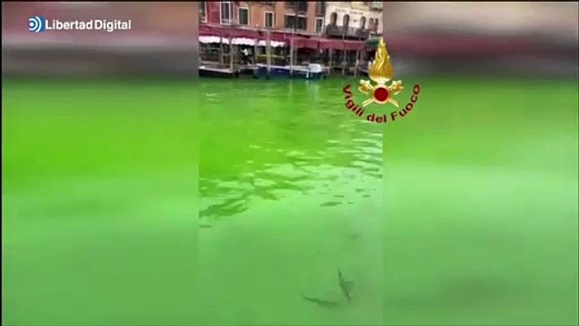 Las aguas del Gran Canal de Venecia aparecen teñidas de verde