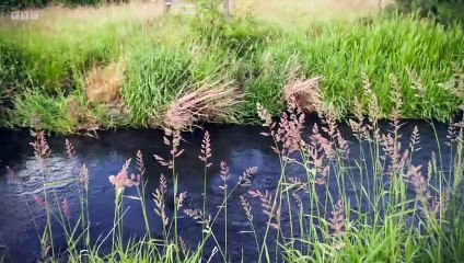 Grand Tours of Scotland's Rivers episode 6