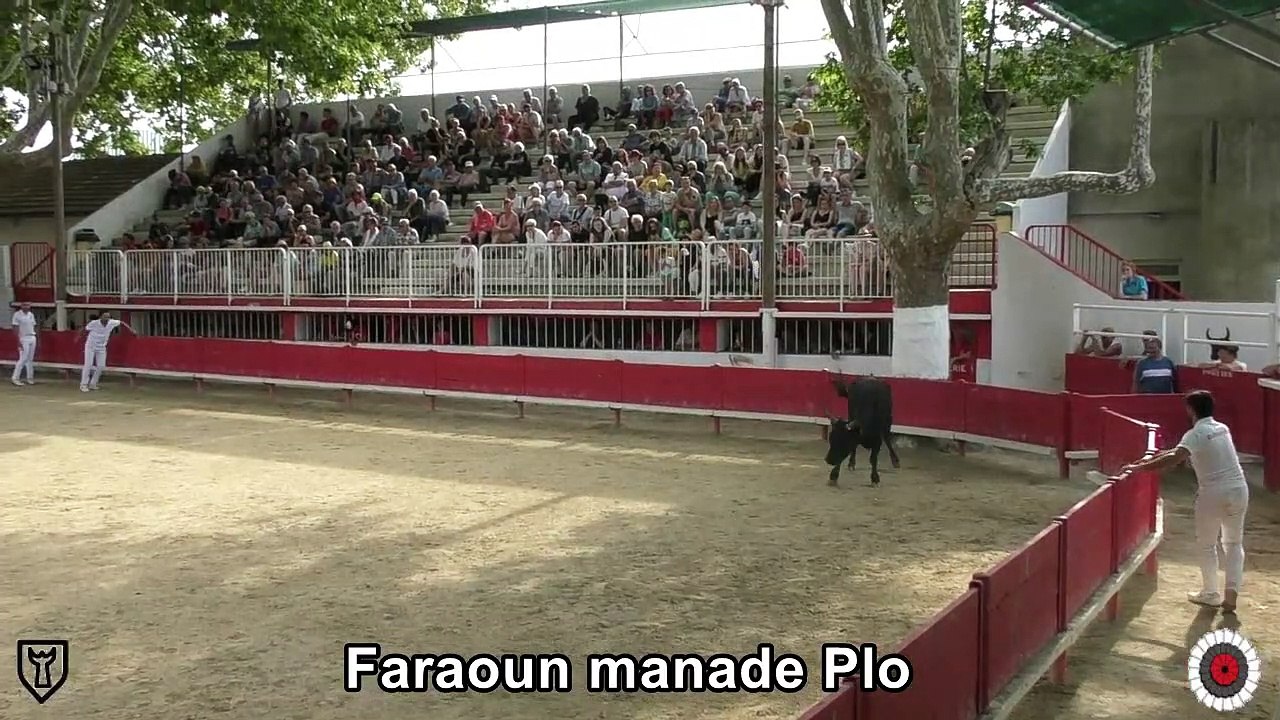 2023 05 28 Faraoun
