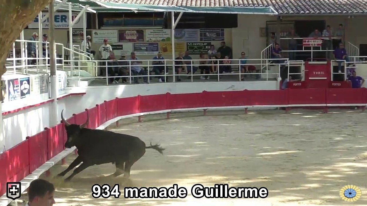 2023 05 26 Guillierme