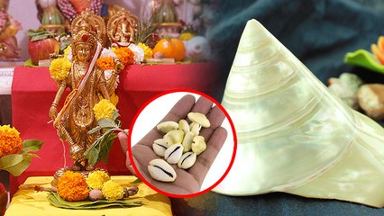 Nirjala Ekadashi 2023 : निर्जला एकादशी के दिन जरूर खरीदें ये समान, होगा धन लाभ | Boldsky