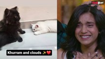 Sumbul Touqeer Khan के Emotional Post को देखकर Fans भी Emotional, Pet Cat Clouds के जाने का दु:ख!