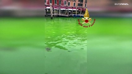 البندقية: عُرف السبب فبطل العجب.. الكشف عن السر وراء اخضرار مياه القنال الكبير