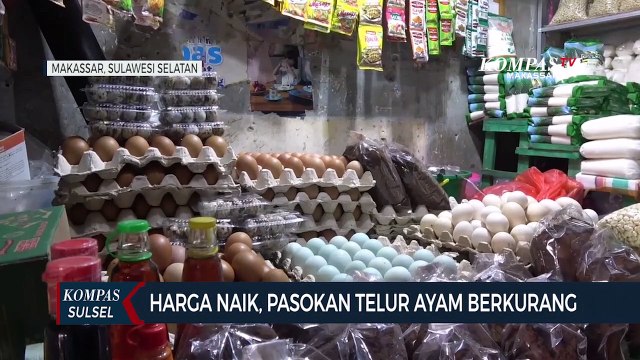 Pasokan Telur Ayam Berkurang, Ini Kisaran Harga Telur di Pasar..