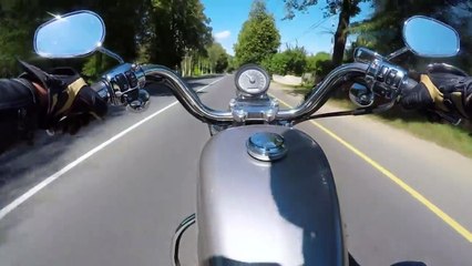 5 Moments You Wouldn't Believe if Not Filmed