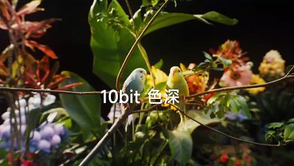 Redmi Note 12T Pro