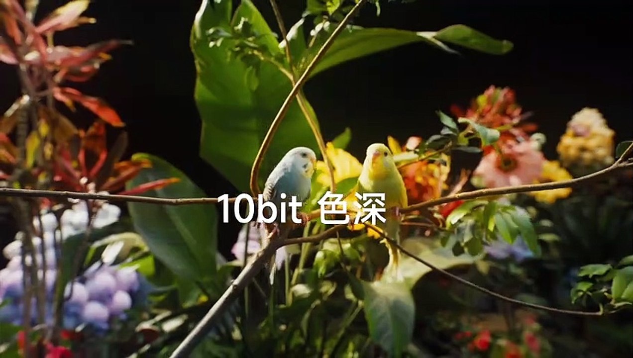 Redmi Note 12T Pro