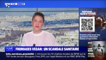 Que sait-on sur les fromages végétaux Jay&Jo contaminés à la listeria? BFMTV répond à vos questions