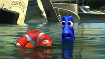 Buscando a Nemo (2003) - Tráiler español