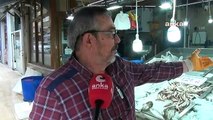 Sinop'ta Havyarın Kilo Fiyatı 3 Bin TL