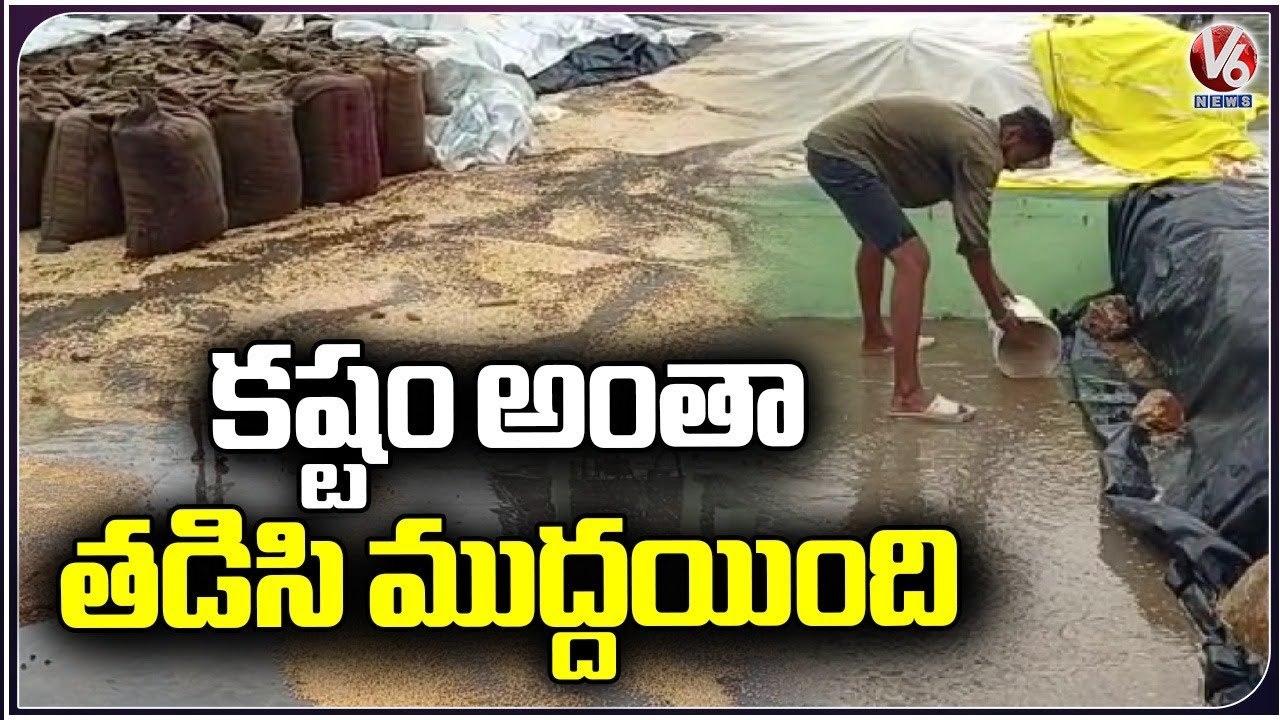 Grains Got Washed Out On Road Due To Rains In Warangal, Farmers Struggle | V6 News