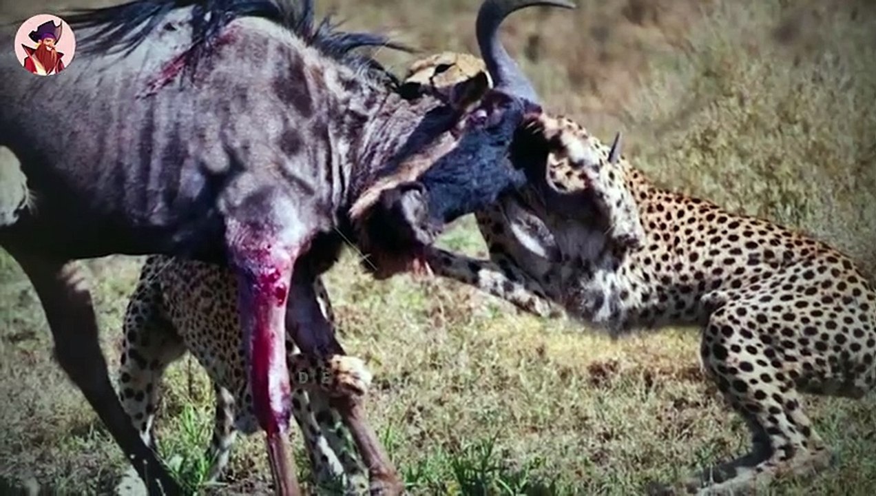 Mutige Und Starke Tiere, Die Dem Zugriff Von Raubtieren Entkommen