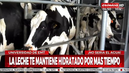 Estudio reveló que la leche es la mejor bebida para hidratarse