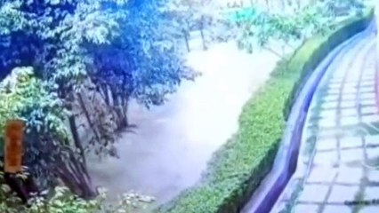 Video : सनबीम में छात्रा की हत्या के मामले में सामने आया नया वीडियो