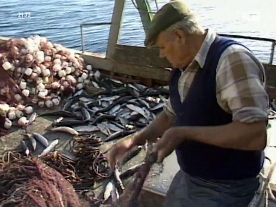 Mišo Kovač - Poljubi zemlju (1987)