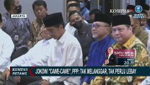 Presiden Joko Widodo Cawe-Cawe, PPP: Tak Melanggar, Tak Perlu Lebay