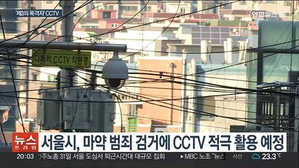'제3의 목격자'…서울시, 마약단속에 CCTV 적극 활용
