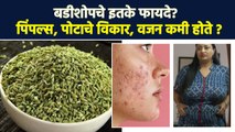 बडीशोपमुळे पिंपल्स दूर होतात? Health Benefits Fennel Seeds |Pimple Cure Overnight |Lokmat Sakhi AI2