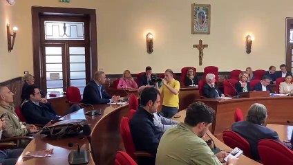 Vibo intervista sindaco Limardo