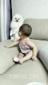 #shorts  Cute Dog and baby #cute #cat #short #viral #youtubeshorts #subscribe #video #animals