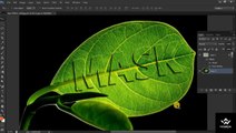 Masking in Photoshop | Photoshop Masking | How to use Type Mask Tool in Photoshop in Hindi