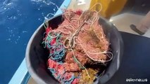 Operazione Mare Libero: recuperato oltre 1km di attrezzi da pesca