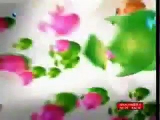 KANAL D 7 ARALIK 2008 REKLAM KUŞAĞI