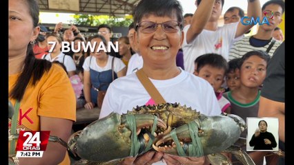 Alimangong halos 2.7kg ang timbang, itinanghal na pinaka-mabigat sa "Katang" o "Alimango Festival" ng Calauag, Quezon | 24 Oras