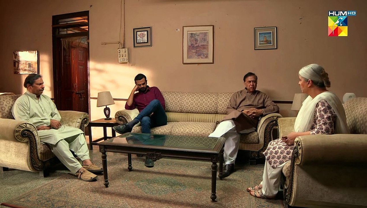 Ghar Walon Se Milne Par Pabandi Kyun  #haniaamir #durefishan #mohibmirza #dilruba