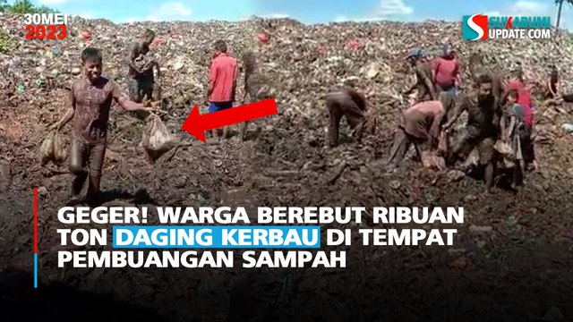 Geger! Warga Berebut Ribuan Ton Daging Kerbau di Tempat Pembuangan Sampah