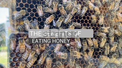 Is Honey Good For You?