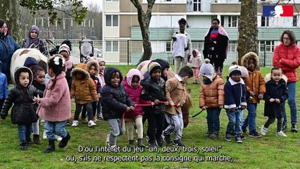 Médiation animale -  projet CNR à l'école René Blanchot