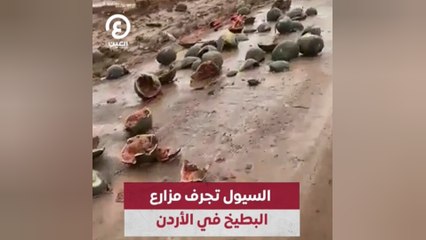 السيول تجرف مزارع البطيخ في الأردن