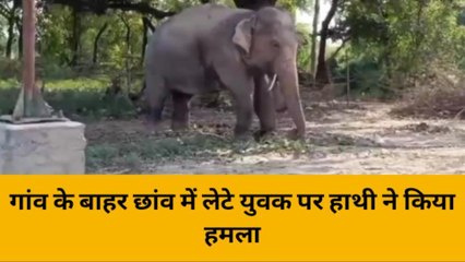 हरदोई: हाथी ने युवक को उठा उठाकर पटका, मौत होने तक पैरों से कुचला