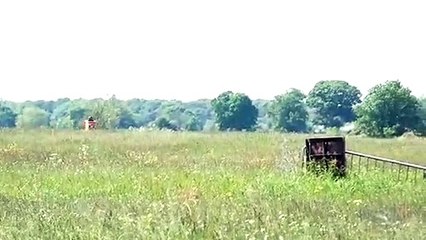 Eccentric engineer beats speed record after reaching 55mph - in a wheelie bin