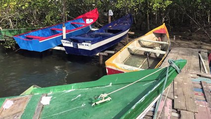 Maré de Conflitos   Trailer