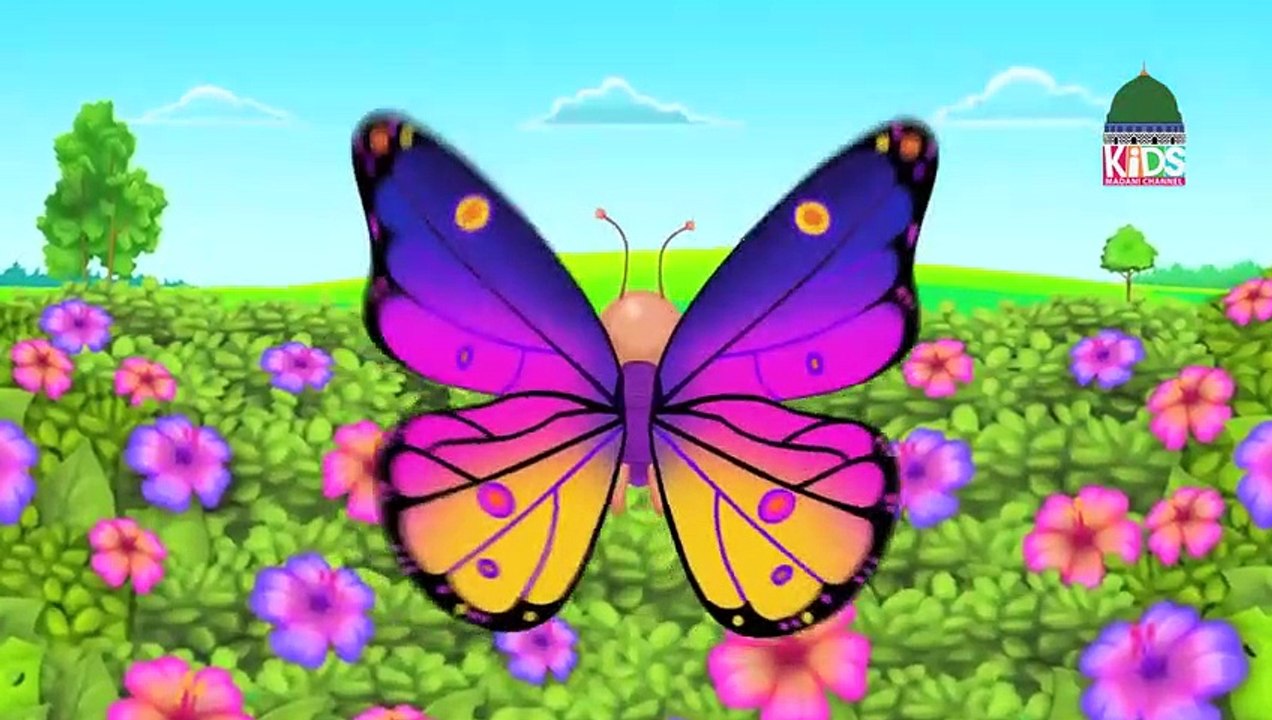 Rangi Barangi Pyari Titli  Nursery Rhymes  Kids Poem  Bachon Ki Nazam_