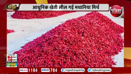 आधुनिक खेती लील गई मथानिया मिर्च, किसान पलायन को मजबूर