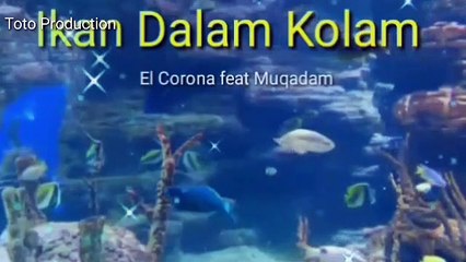 Ikan dalam kolam El Corona