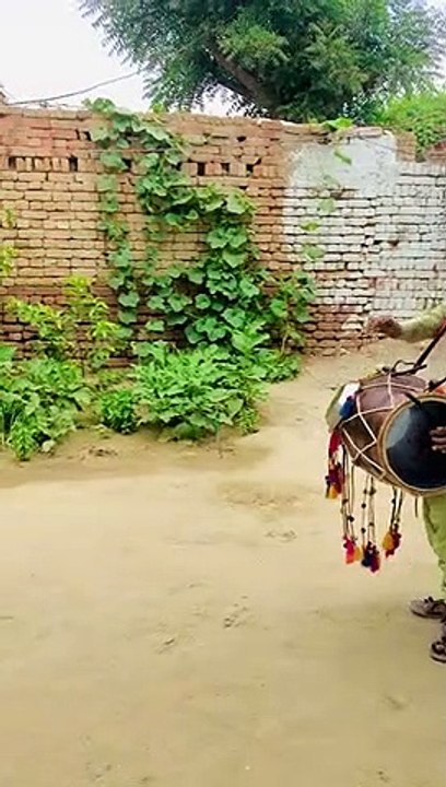 Panjabe dohl