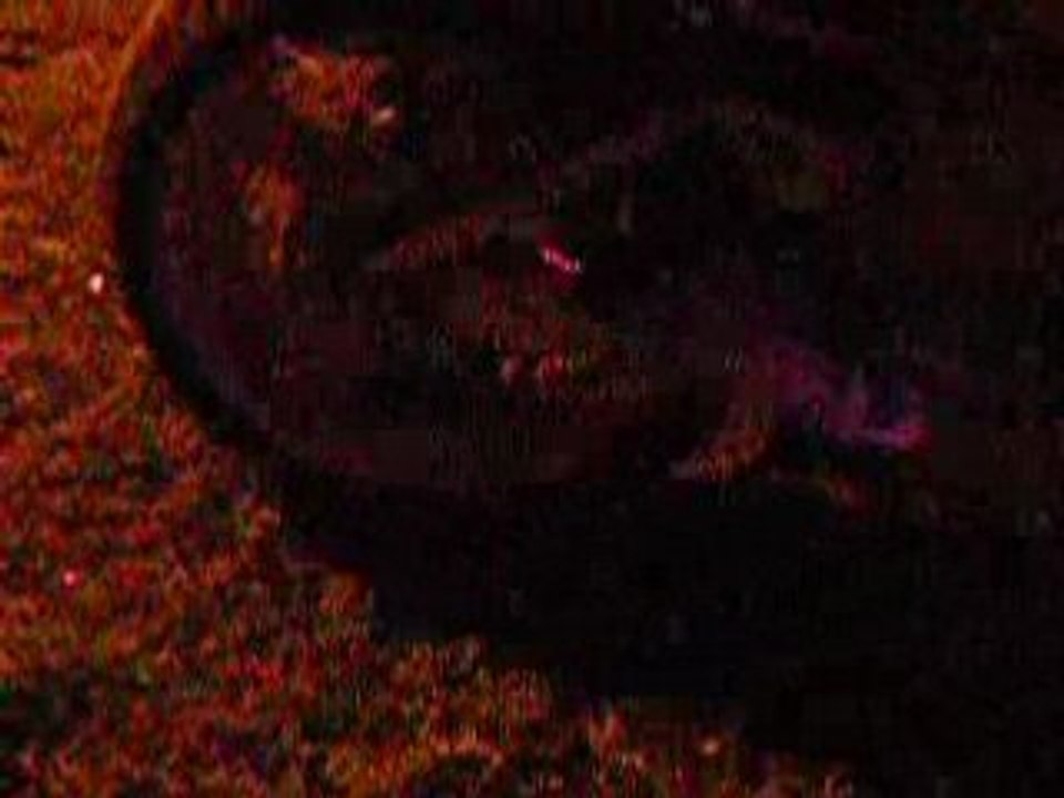 750 gsxr srad collecteur rouge rupture flam le mans 2007